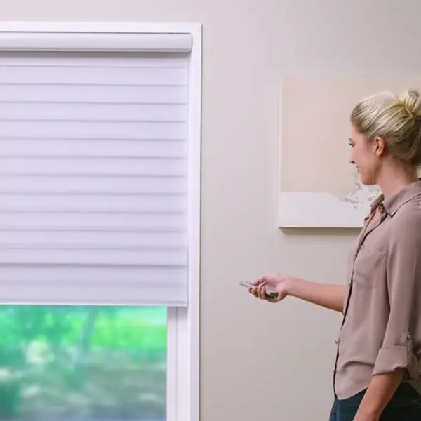 Zebra/Roller Shade Motorized Blinds Asset View 7