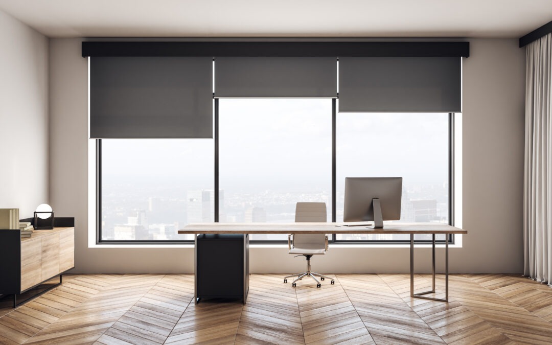 Roller Shades 2