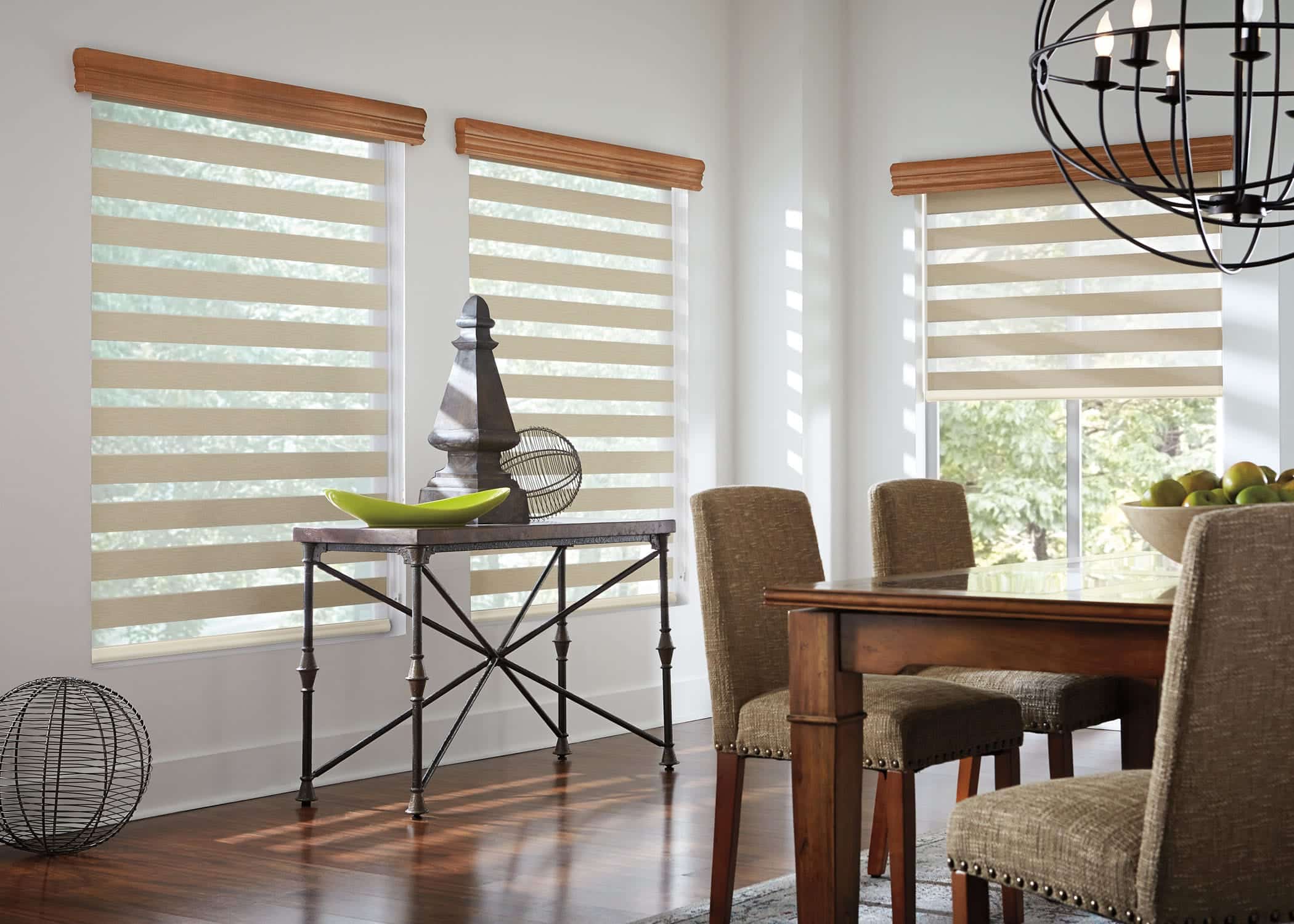 Zebra Blinds 1