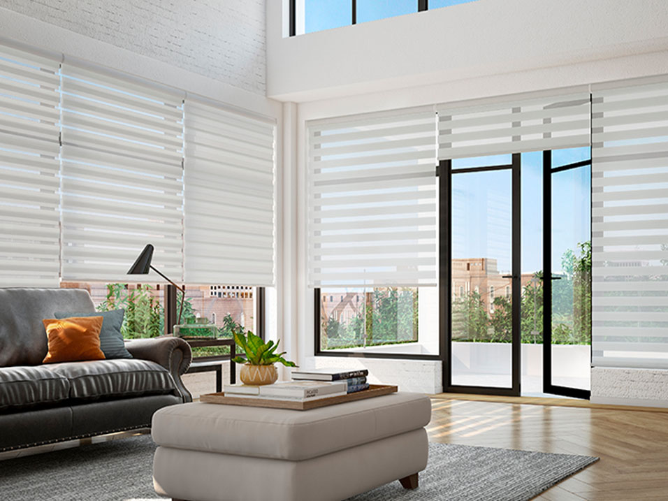 Zebra Blinds 3